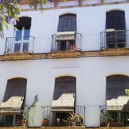 Lejlighed Jerez Centro Historico