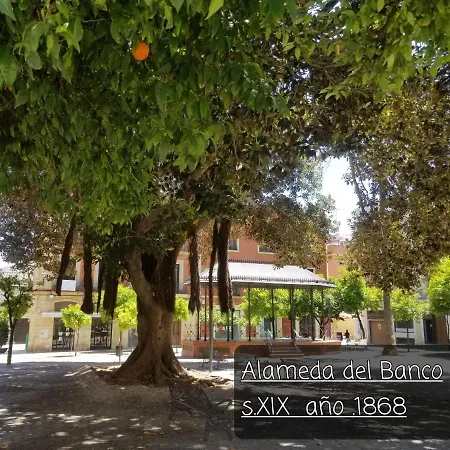 Lägenhet Jerez Centro Historico *